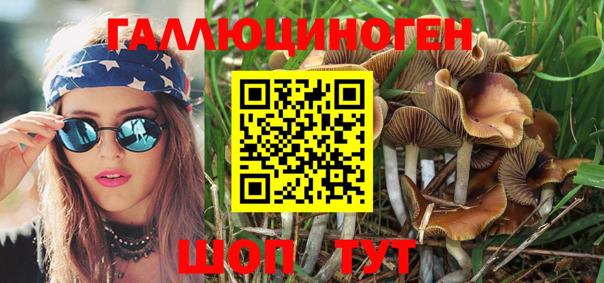 Галлюциногенные грибы Psilocybe  Вход с VPN  Калуга 