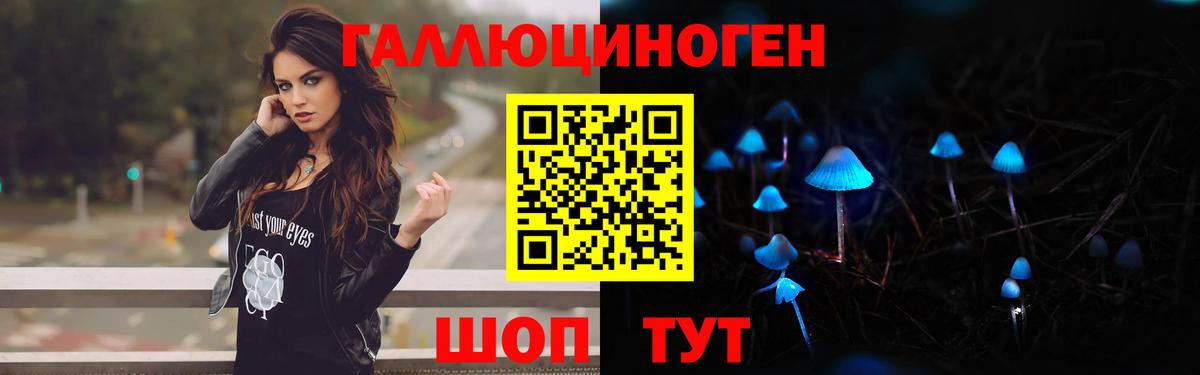 Галлюциногенные грибы Cubensis Калуга